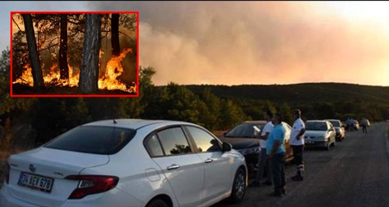 Eskişehir'deki orman yangını saatlerdir söndürülemedi! Yangını söndürme çalışmalarına gençler kürekler ile destek oluyor