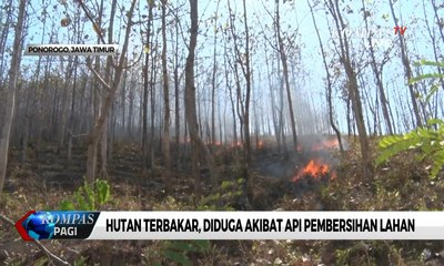 Hutan Perhutani Terbakar, Diduga Akibat Api Pembersihan Lahan
