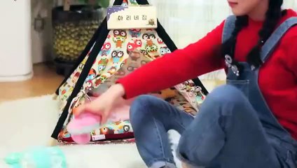 경북출장안마 -후불1ØØ%ョOiOE7685E6221｛카톡PP888｝ 경북전지역출장마사지 경북오피걸 경북출장안마 경북출장마사지 경북출장안마 경북출장콜걸샵안마 경북출장아로마경북출장샵㍈◧⊔