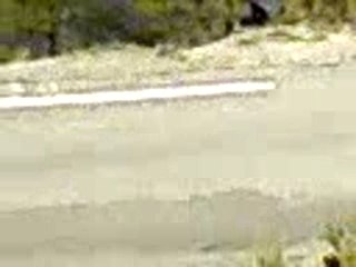 Loeb monte carlo