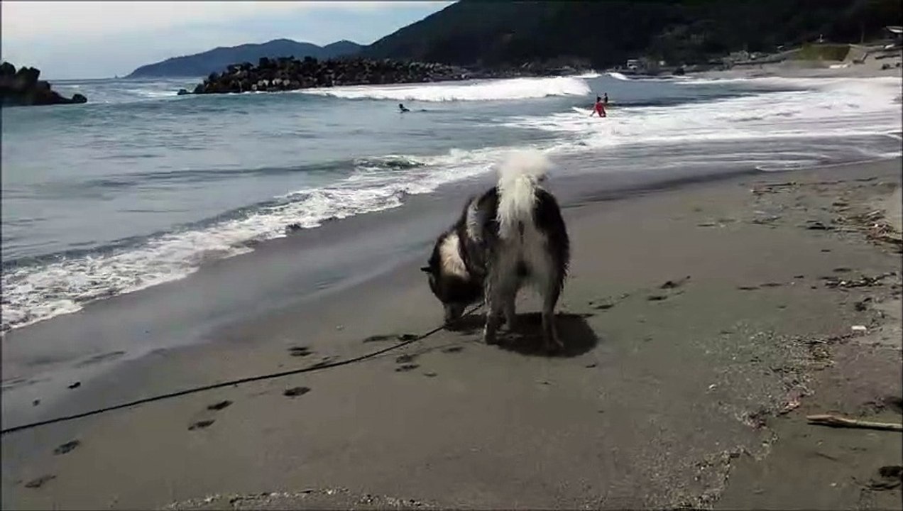 川之浜海岸
