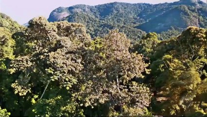 Novela Topíssima 08/08/2019 Capítulo 58