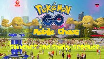 Pokemon Go ☼ Glitches and Shiny Geodude