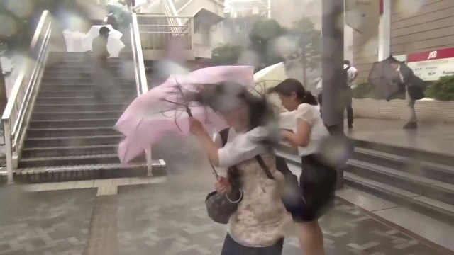 광복절에 태풍 日 상륙...찜통더위 이어 동해안 250mm 비바람 / YTN
