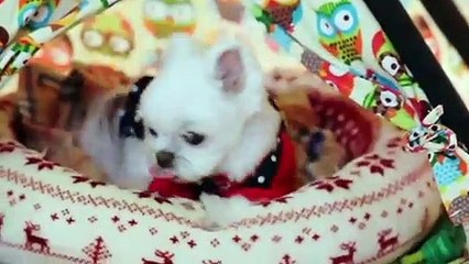 진구출장안마 -후불1ØØ%ョØ7ØM7575M0069｛카톡CC6969｝ 진구전지역출장마사지 진구오피걸 진구출장안마 진구출장마사지 진구출장안마 진구출장콜걸샵안마 진구출장아로마 진구출장㌖ぅ◆