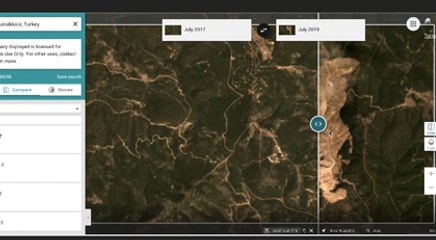 Aslında kaç ağaç kesildi