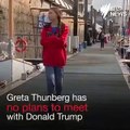 Greta Thunberg, jeune égérie de la lutte contre le réchauffement climatique, ne rencontrera pas Donald Trump aux Etats-Unis: 