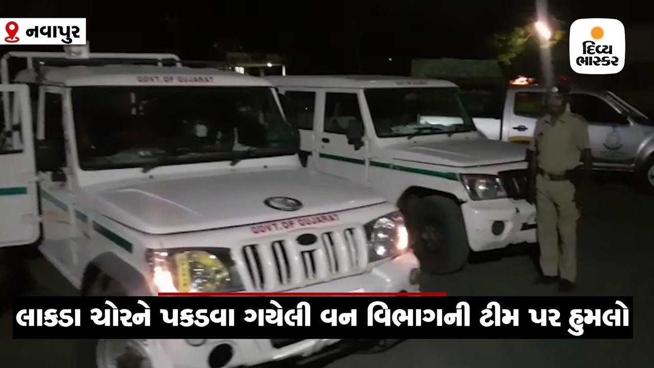 લાકડા ચોરને પકડવા ગયેલા ઉચ્છલ RFO પર હુમલો, ગંભ...