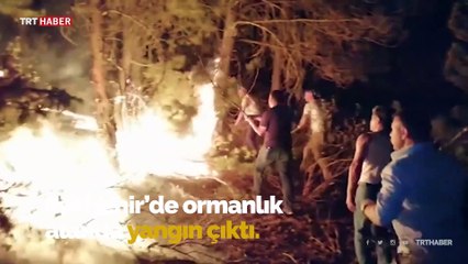 Eskişehir'de ormanlık alanda yangın