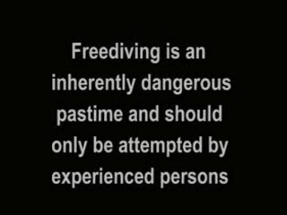 Regis fait de la plongée