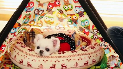 장수출장안마 -후불1ØØ%ョØ1ØM2997M5327｛카톡USA59｝ 장수전지역출장마사지 장수오피걸 장수출장안마 장수출장마사지 장수출장안마 장수출장콜걸샵안마 장수출장아로마장수출장샵◨⺛㌦