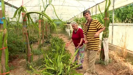 Emekli öğretmen çift tarımda örnek oluyor