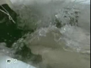 Tori amos - professional widow (armand van helden remix)