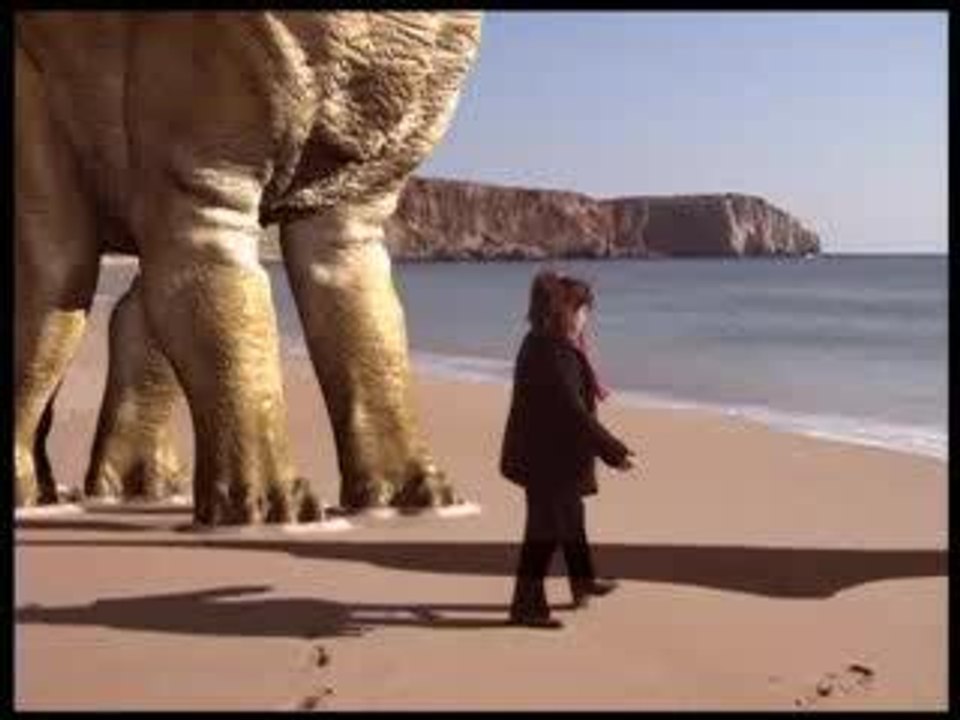 Brachiosaurs- beach