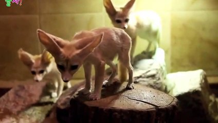 울진출장안마 -후불1ØØ%ョOiOE7685E6221｛카톡PP888｝ 울진전지역출장마사지 울진오피걸 울진출장안마 울진출장마사지 울진출장안마 울진출장콜걸샵안마 울진출장아로마울진출장샵◘◎⾷