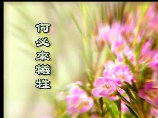 王雷-何必来牺牲