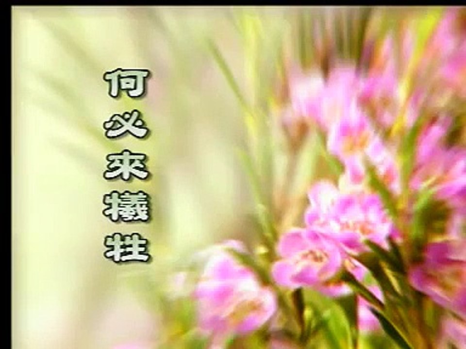 王雷-何必来牺牲