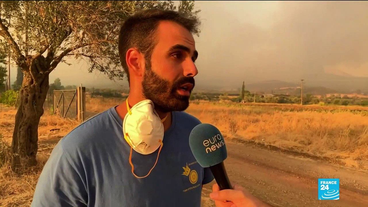 "Catastrophe écologique" sur l'île grecque d'Eubée ravagée par les flammes