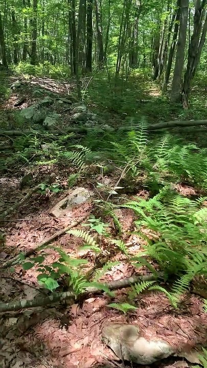 Brian Ghilliotti: Jewett City, CT: Lithic Complex: Exploring Walls