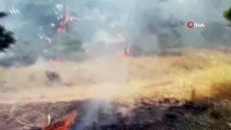 Yozgat'ta orman yangını: 3 hektar alan yandı