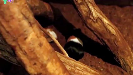 의정부출장안마 -후불100%ョØ7ØM7575M0054｛카톡OYO78｝  의정부전지역출장안마 의정부오피걸 의정부출장마사지 의정부안마 의정부출장마사지 의정부콜걸샵㌟ぎ∑