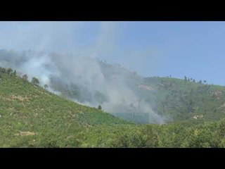 Zjarre masive ne pyjet e Ersekes - News, Lajme - Vizion Plus