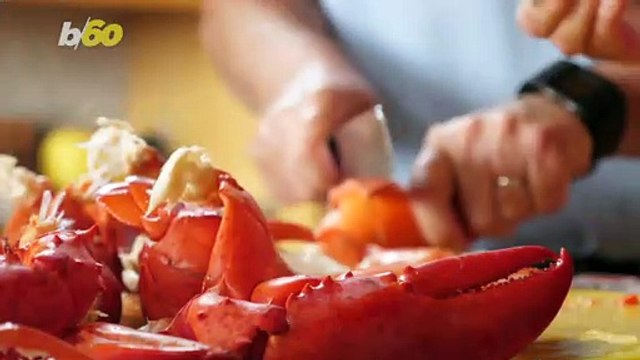 Go Fish! Red Lobster Not Adding ‘Terrible’ Plant-Based Seafood to Menus
