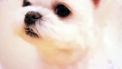 장흥출장안마 -후불1ØØ%ョØ7ØM7575M0054｛카톡USA16｝ 장흥전지역출장마사지 장흥오피걸 장흥출장안마 장흥출장마사지 장흥출장안마 장흥출장콜걸샵안마 장흥출장아로마장흥출장샵⻁⺛►