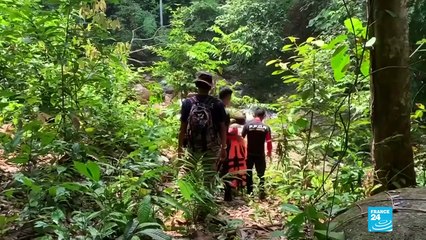 Qu'est-il arrivé à Nora Quoirin ? Une autopsie est en cours