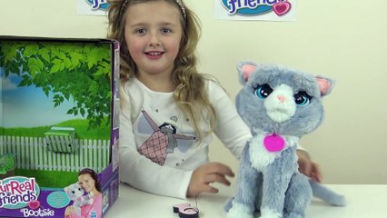 Bootsie - Gatinha de Pelúcia