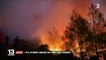En Grèce, "catastrophe écologique" en cours sur l'île d'Eubée, ravagée par les flammes