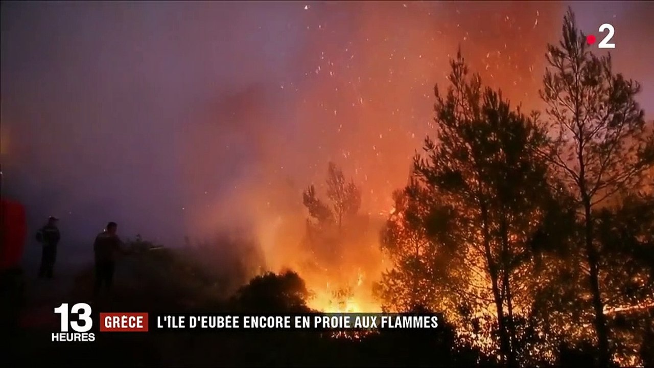 En Grèce, "catastrophe écologique" en cours sur l'île d'Eubée, ravagée par les flammes