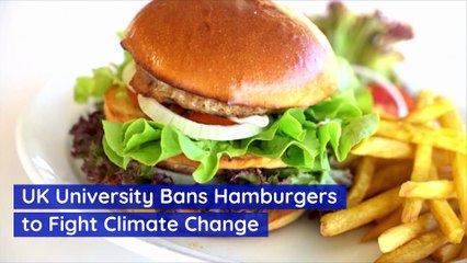 UK University Bans Hamburgers to Fight Climate Change