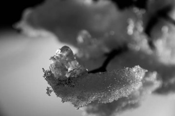 ¿Qué pasaría si todo el hielo de la tierra se derritiera?