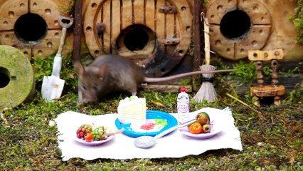 Mouse picnic  - George the mouse in a log pile house by simon dell