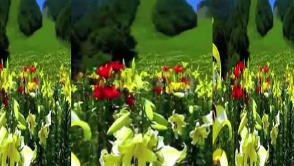 Ağlasam mı Gülsem mi **Müzik İLGÜN SOYSEV **sözler AYNUR AVCI.