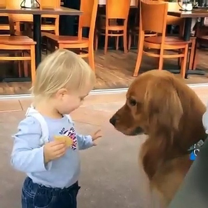 Ce Petit garçon aide un petit chien. Trop mimi !