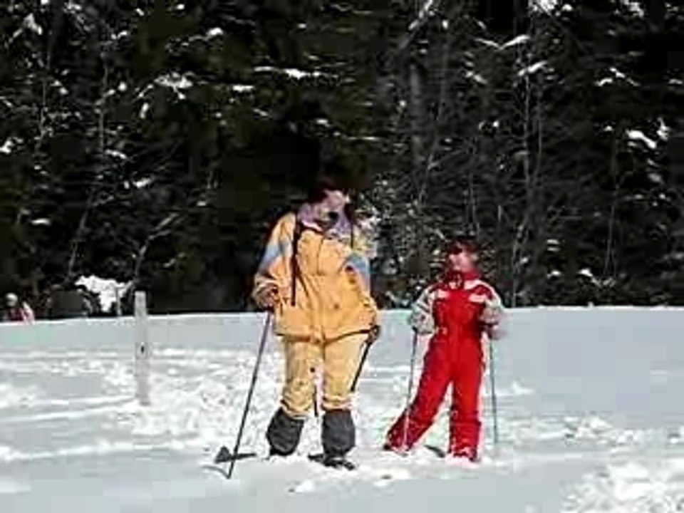 Raquettes à neige