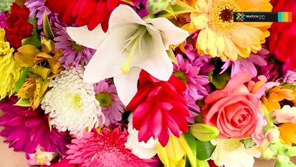 bd-rosas-y-girasoles-para-mama-140819