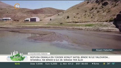 Arılar çatıyı mesken tuttu