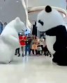 Regardez comment ce panda et un ours polaire dansent ensemble !