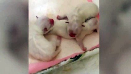 사하지구출장안마 -후불100%ョOiOE7685E6221｛카톡LTE16｝  사하지구전지역출장안마 사하지구오피걸 사하지구출장마사지 사하지구안마 사하지구출장마사지 사하지구콜걸샵⊆⊉こ