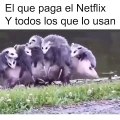 Muchos con una cuenta de Netflix