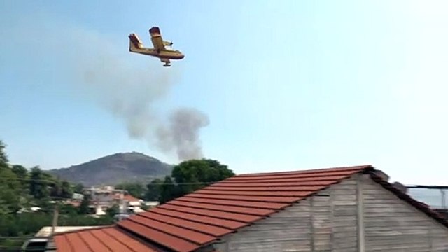 كارثة بيئية في جزيرة إيفيا اليونانية بسبب حريق مدمر