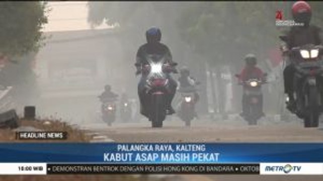 Luas Karhutla di Palangka Raya Capai Ribuan Hektare