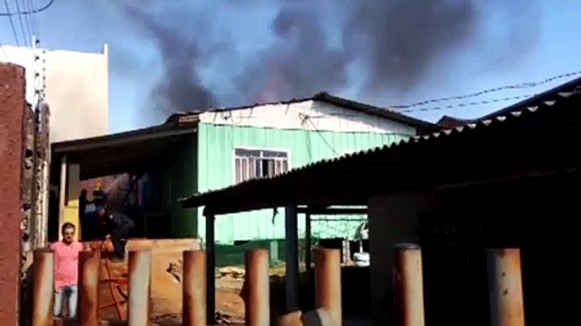 Cachorro que estava em residência consumida por incêndio sofreu várias queimaduras