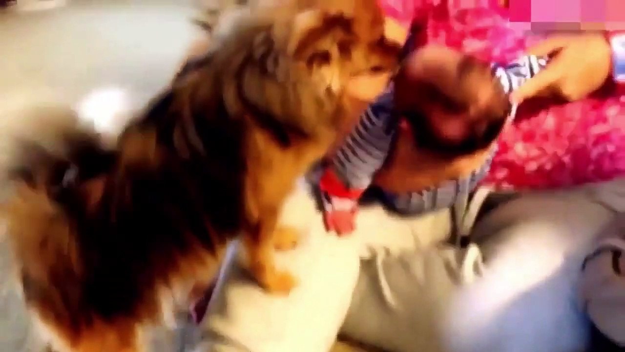 Funny Fails Compilations