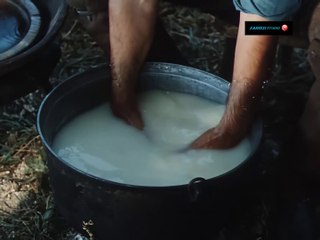 დათა თუთაშხია ქართული 1