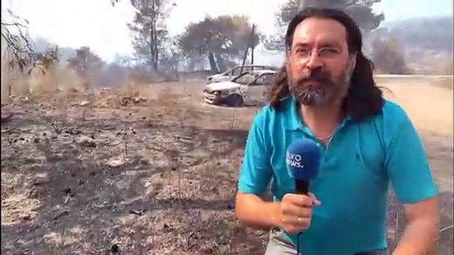 Incendies en Grèce : La solidarité sauve Eubée de la catastrophe écologique