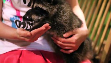 은평출장안마 -후불100%ョOiOE7685E6221｛카톡PP888｝  은평전지역출장안마 은평오피걸 은평출장마사지 은평안마 은평출장마사지 은평콜걸샵ぷ㌠㍎